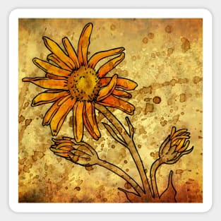 Arnica Montana Sticker